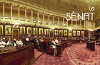 Infobrochure Senaat